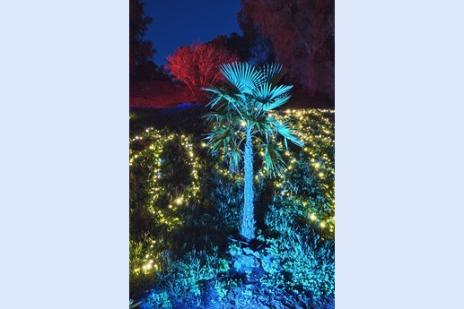 Naturaleza Encendida