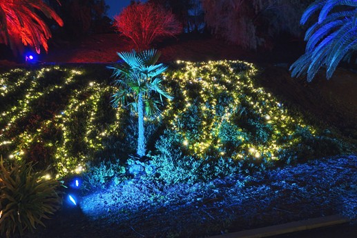 Naturaleza Encendida