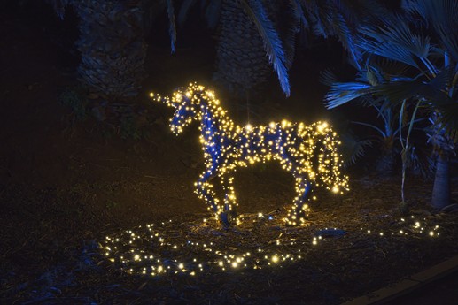 Naturaleza Encendida