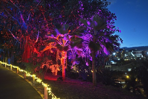Naturaleza Encendida