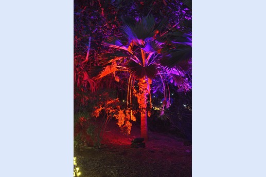 Naturaleza Encendida