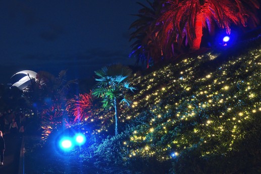 Naturaleza Encendida