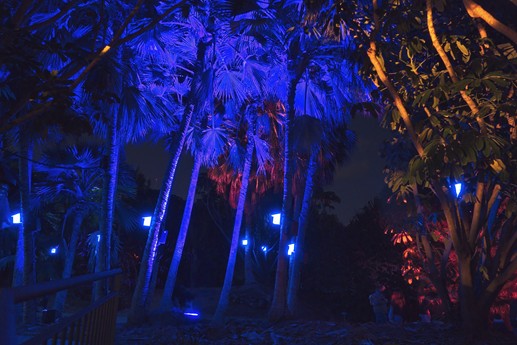 Naturaleza Encendida