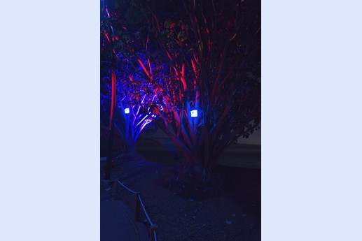 Naturaleza Encendida