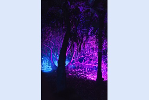 Naturaleza Encendida