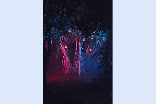 Naturaleza Encendida