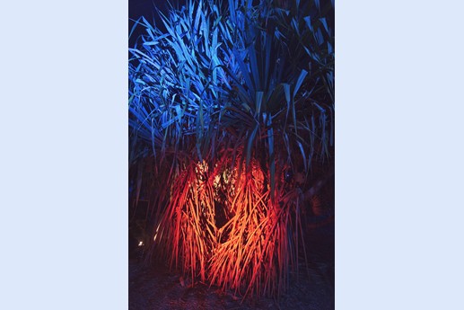 Naturaleza Encendida