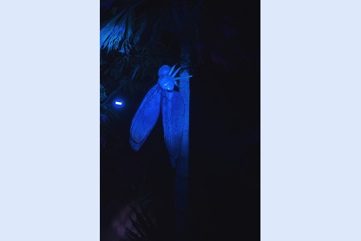 Naturaleza Encendida