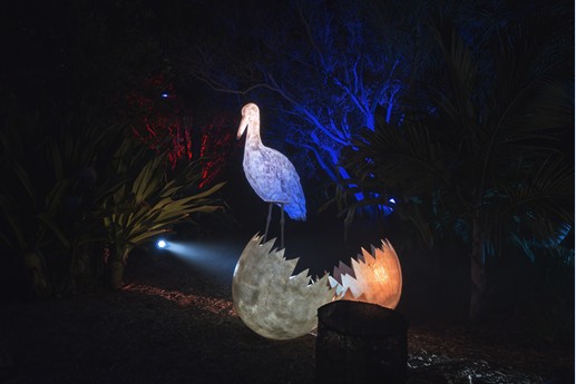 Naturaleza Encendida