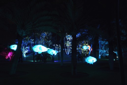 Naturaleza Encendida