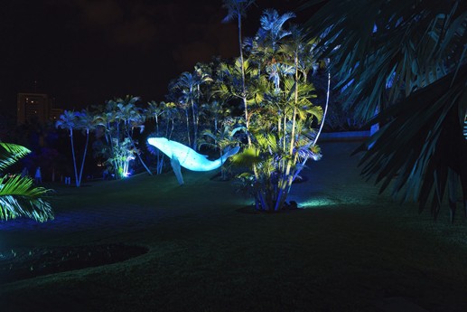 Naturaleza Encendida