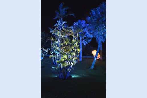 Naturaleza Encendida