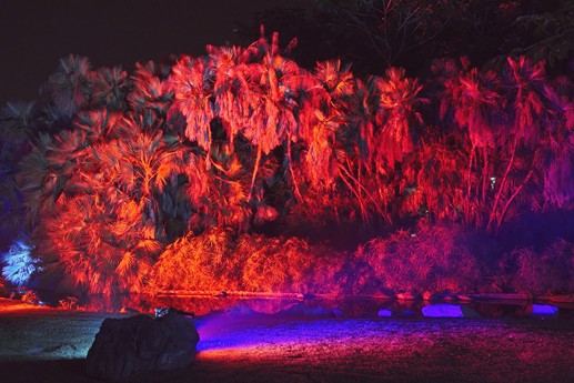 Naturaleza Encendida
