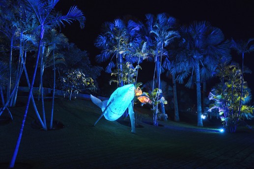 Naturaleza Encendida