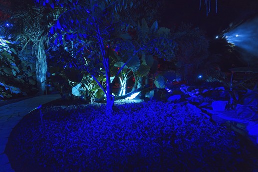 Naturaleza Encendida