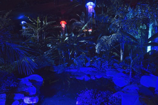 Naturaleza Encendida