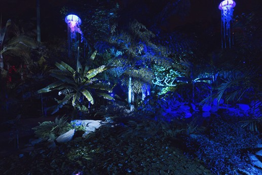 Naturaleza Encendida