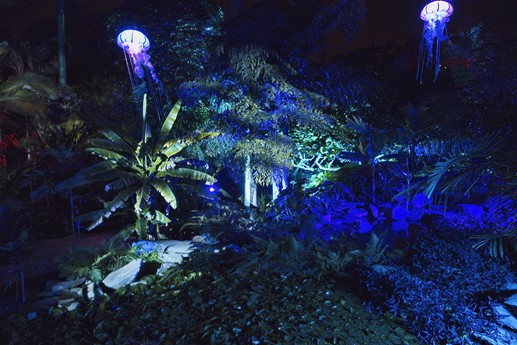 Naturaleza Encendida