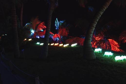 Naturaleza Encendida
