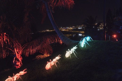 Naturaleza Encendida