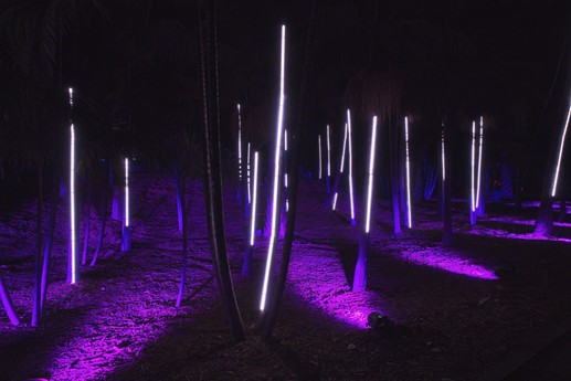Naturaleza Encendida