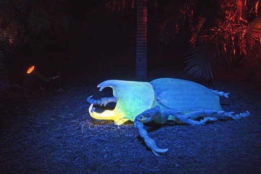 Naturaleza Encendida