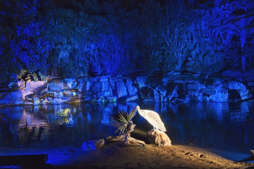 Naturaleza Encendida