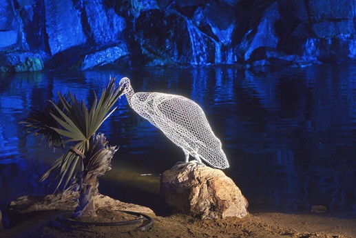 Naturaleza Encendida