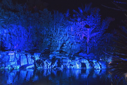 Naturaleza Encendida