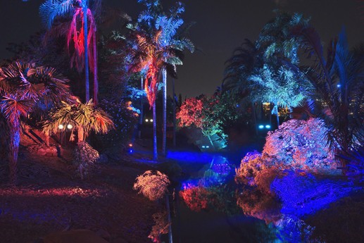 Naturaleza Encendida