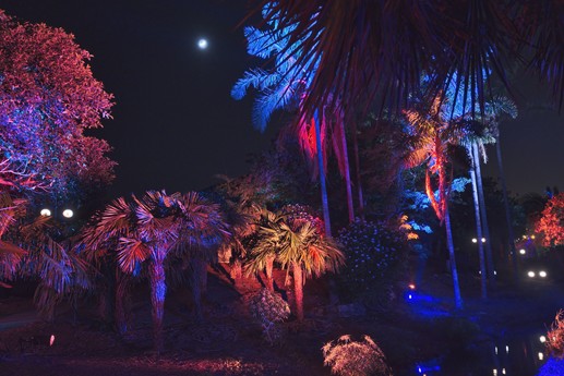 Naturaleza Encendida