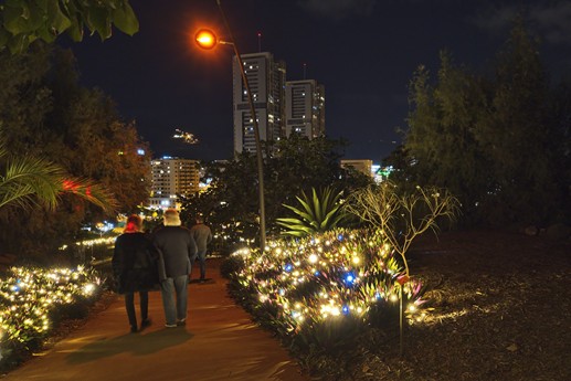 Naturaleza Encendida