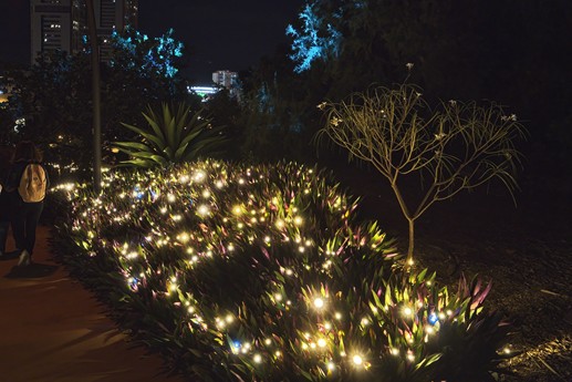 Naturaleza Encendida