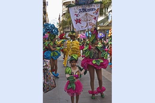 Carnaval de dia
