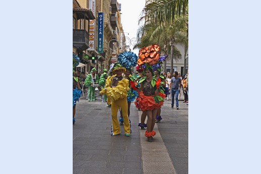 Carnaval de dia
