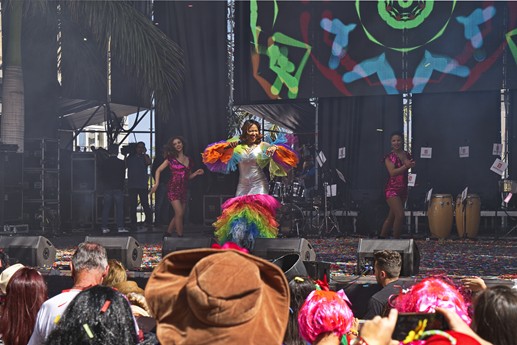 Carnaval de dia