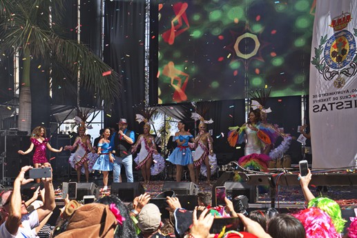 Carnaval de dia