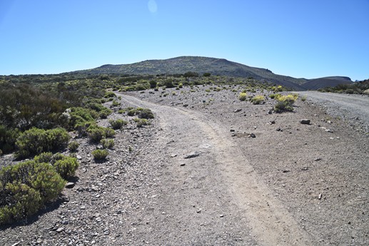 Teide