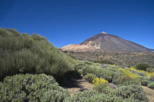 Teide
