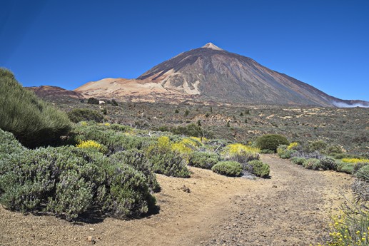 Teide