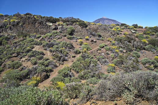 Teide