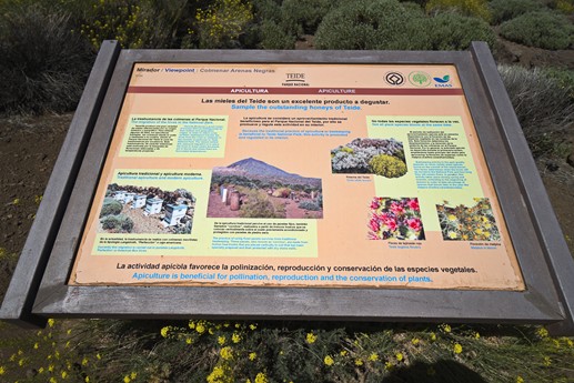 Teide
