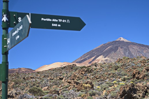 Teide
