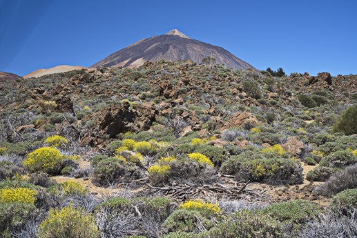 Teide