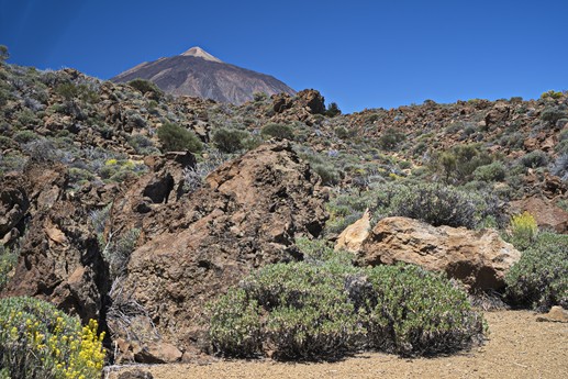Teide