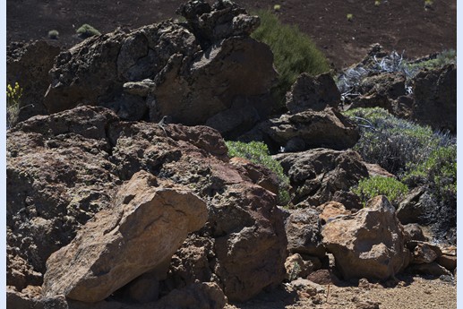 Teide