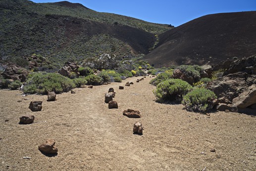 Teide