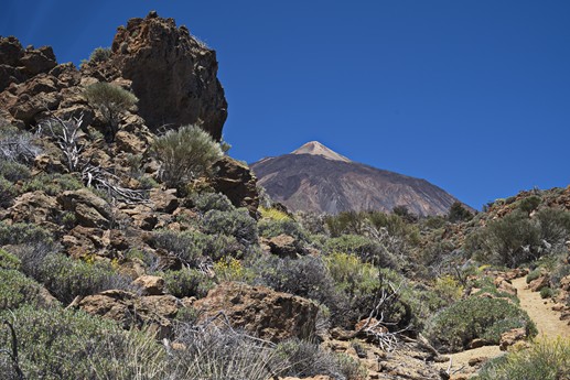 Teide