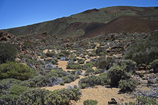 Teide