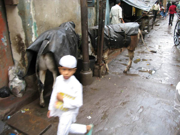 India - Calcutta